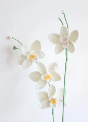White crocheted orchid flowers.