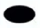 Black oval shape.  Solid black circle.