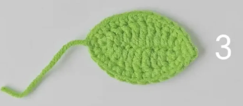 Green crocheted circle, step 3.